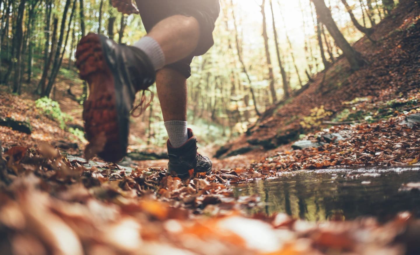 A person runs on a tree-lined trail.