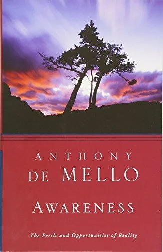 Cover of Awareness